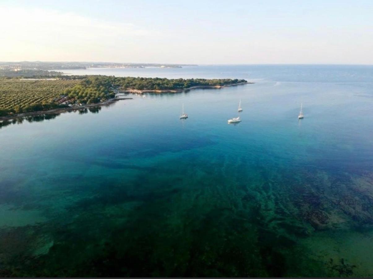 Apartments Vojvoda Poreč Buitenkant foto